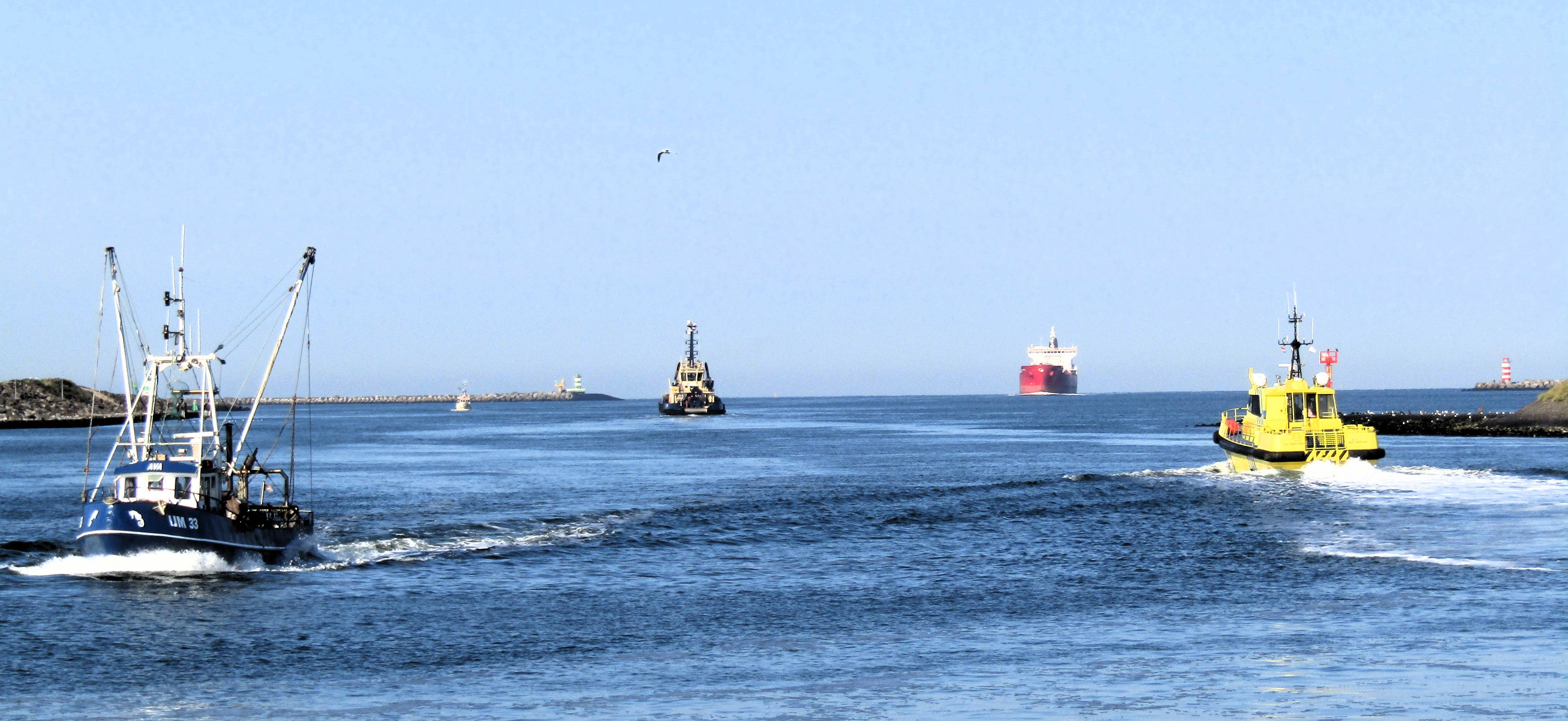 Pieren IJmuiden   15-09-23 